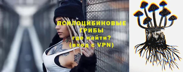 ПСИЛОЦИБИНОВЫЕ ГРИБЫ Саяногорск