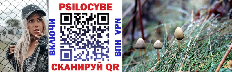 Галлюциногенные грибы Psilocybine cubensis  закладки  blacksprut ССЫЛКА  Байкальск 
